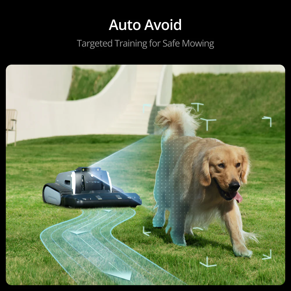 ONE_PLUS_IMAGE6_AVOID_EN